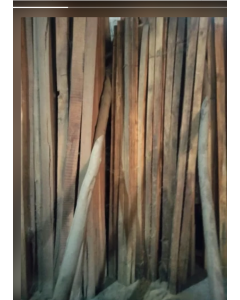 Eucalyptus wood 2700 mm(9 ft) 500/piece